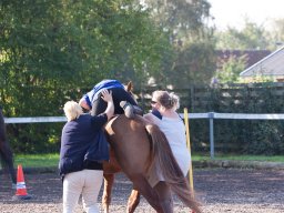 IMG_7209_web